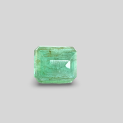 Natural Emerald (Panna) 9.17cts (41/511)
